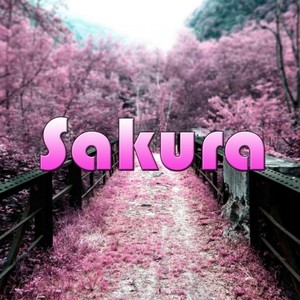 Sakura  (FoXLvis Remake)