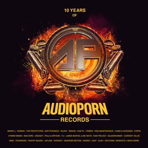 10 Years of Audio*** Records LP