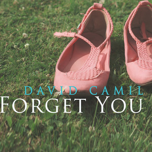 David Camil - Forget You