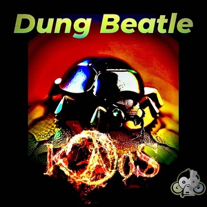 Dung Beatle