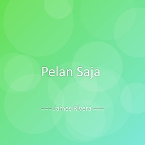 Pelan Saja