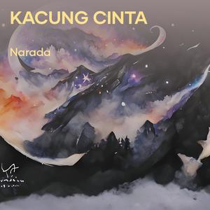 kacung cinta