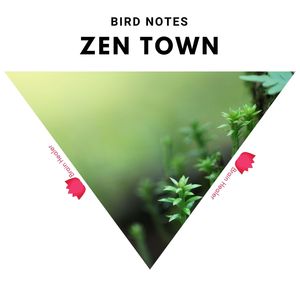 Bird Notes (Original Mix)