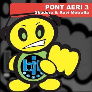 Pont Aeri 3