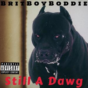 Still A Dawg (Explicit)