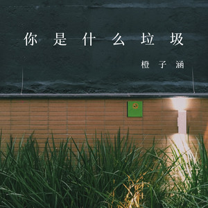你是什么垃圾