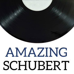 Amazing Schubert