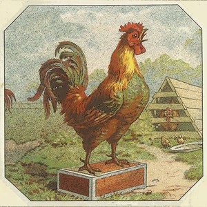 Karl Swoboda - A Taste Of Honey