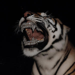 BANDZ!BANDZ!BANDZ! (Remix|Explicit)