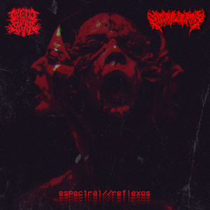 Espectral//Reflexos