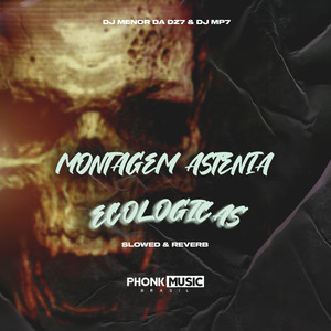 Montagem Astenia Ecológicas (Slowed and reverb|Explicit)