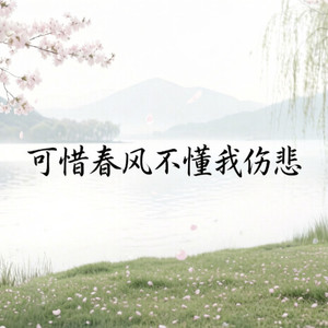 可惜春风不懂我伤悲-沧桑老舅