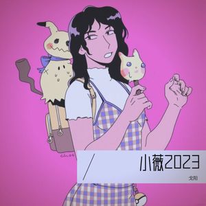 小薇2023DJ版 (伴奏)