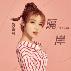 隔岸曳想 (DJ沈念版)