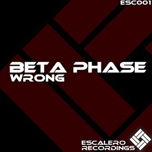 Wrong (Original Mix)