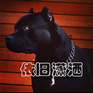 精神霸气 (Remix)