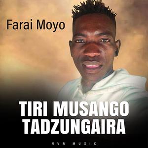 TIRI MUSANGO TADZUNGAIRA-FARAI MOYO