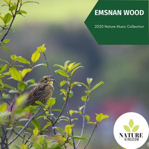 Emsnan Wood - 2020 Nature Music Collection