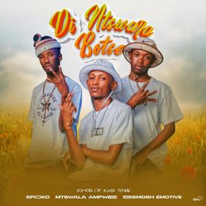 Dintshwara Botse (feat. Poobington) (Official Audio)