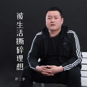 被生活撕碎理想