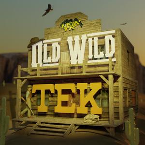 Old Wild Tek (Explicit)