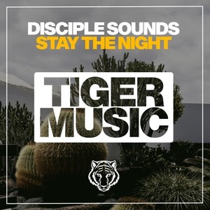 Stay the Night (Original Mix)