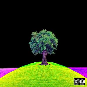 Liv 43vurr (Explicit)