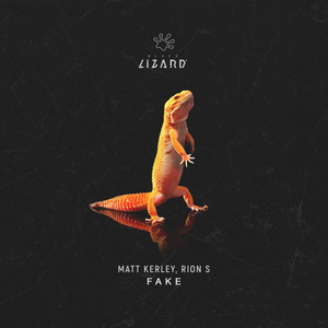 Fake (Extended Mix)