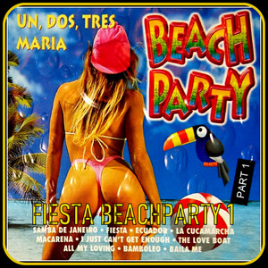 Fiesta Beachparty, Vol. 1