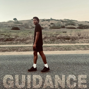 Guidance (Explicit)