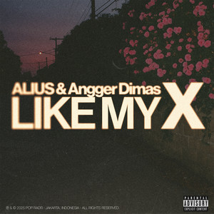 Like My X (Explicit)