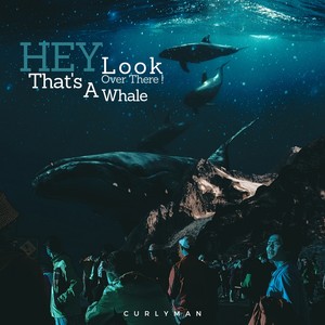 Hey Look over There ! That's a Whale