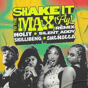 Shake It To The Max (FLY) [Remix] [Explicit]