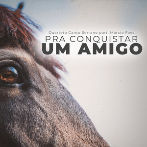 Pra Conquistar um Amigo