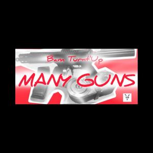 Many Guns (Explicit)