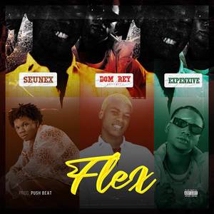 Flex (Explicit)