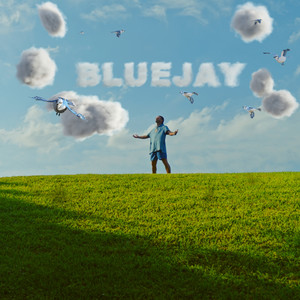 Bluejay