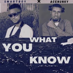 What you know (feat. Smart Boy) (Explicit)