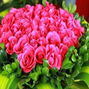 You Are My Sunshine In My Life