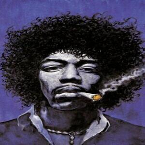 HiMi Flow (Explicit)