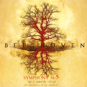 Symphony No. 5 Op. 67 - Symphony No. 5 Op. 67: I Allegro con Brio