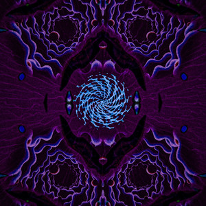 Distorted Magical Tour-Ride