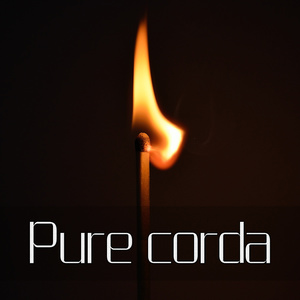 불좀 꺼주세요 (请关一下灯)