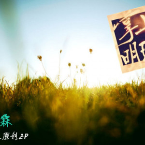 树下的回忆
