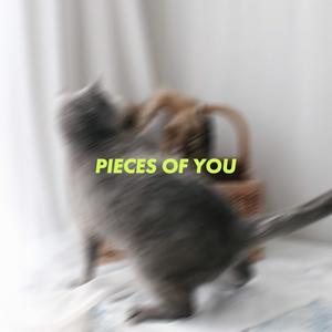 Pieces of You