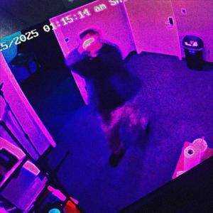 BUZZ LIGHTYEAR (Explicit)