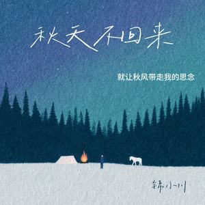 秋天不回来（就让秋风带走我的思念）