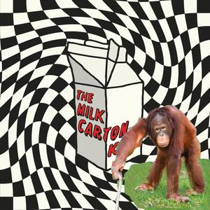 86 space monkey jungle (wiley music room demo)