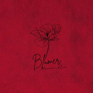 BLUMER (Explicit)