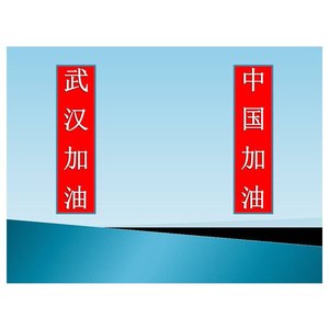 重现光明 (纯音乐)